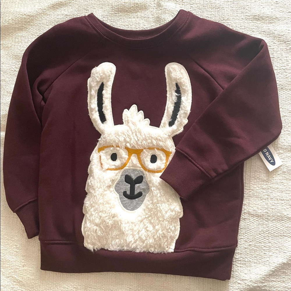 Kid’s Old Navy Llama Sweatshirt